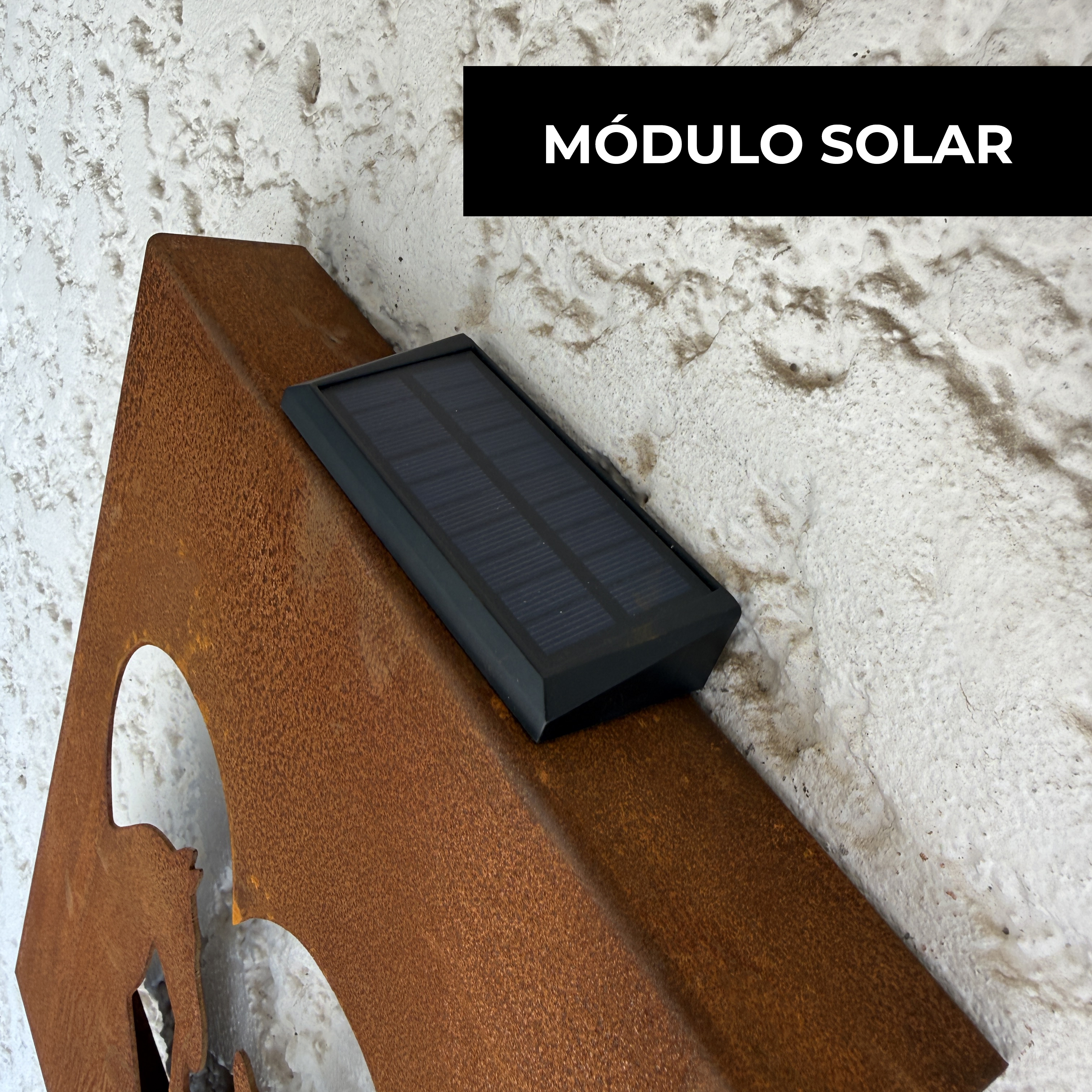 Árbol de la vida con luz solar